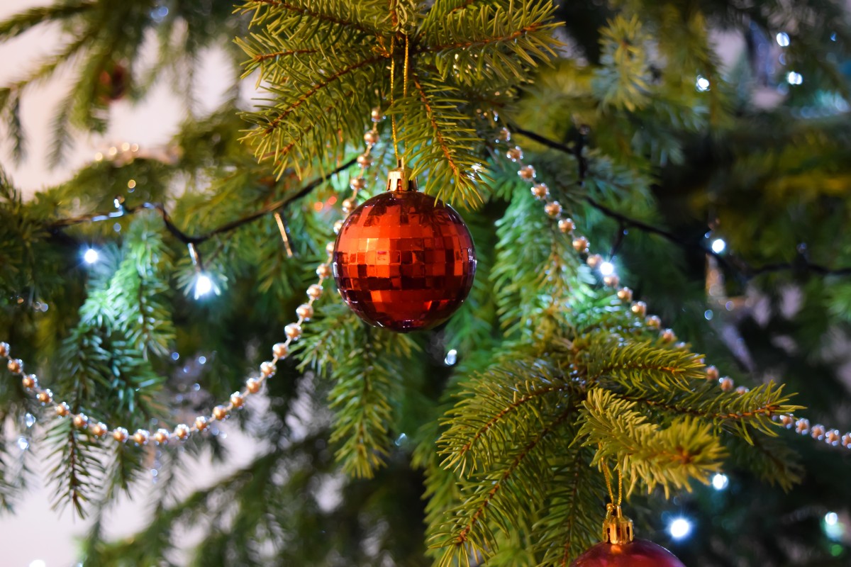 How to Conserve Your Christmas Tree